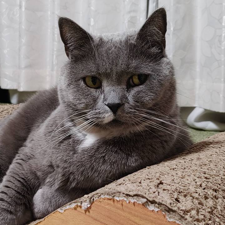 8bb6de95 bd76 45c7 bb25 972fb1224954 1677334243105