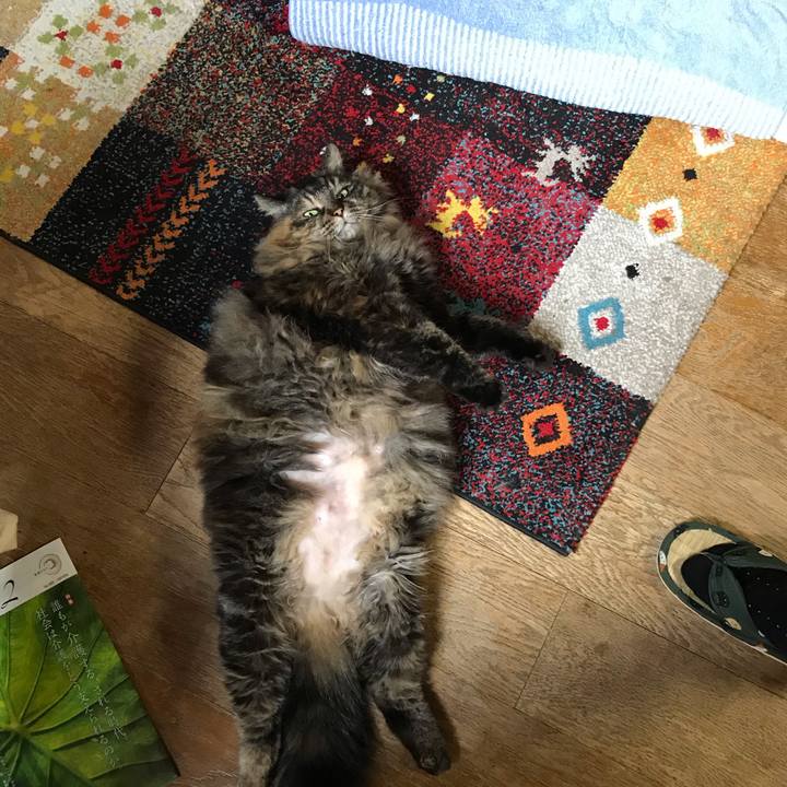 8bb6df49 5041 4dff b5a6 0517f8059f9d 1607214972094