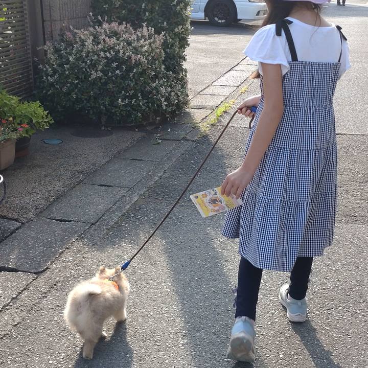 8bb6e630 ec78 4762 807e 26cf4ef8b453 1721535104329