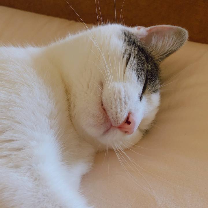 8bb6f7a8 b6fe 450f 82d2 5a0b29f67cd6 1594277259311