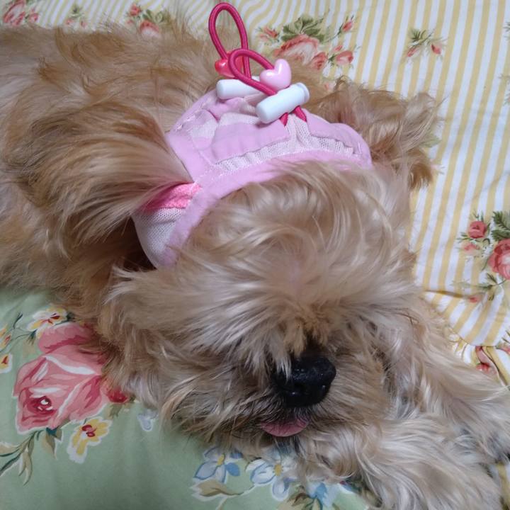 8bb73564 f98b 4f7c a72a d45043e449b0 1602117997881