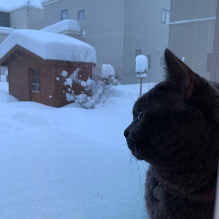 8bb74953 d5b3 48a0 b889 edbbf74c48a6 1769344294935