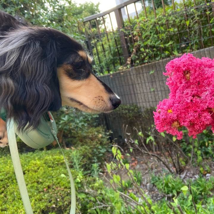 8bb749c8 511f 4aff 8b12 e1aecbd4aba6 1690494803073