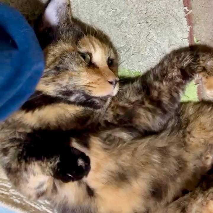 8bb75818 235e 4352 a329 bfd352b87625 1760265823016