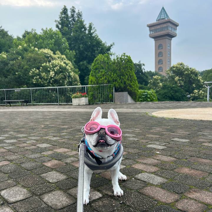 8bb79949 6683 4c08 a88f ac9565f6e209 1751779824969