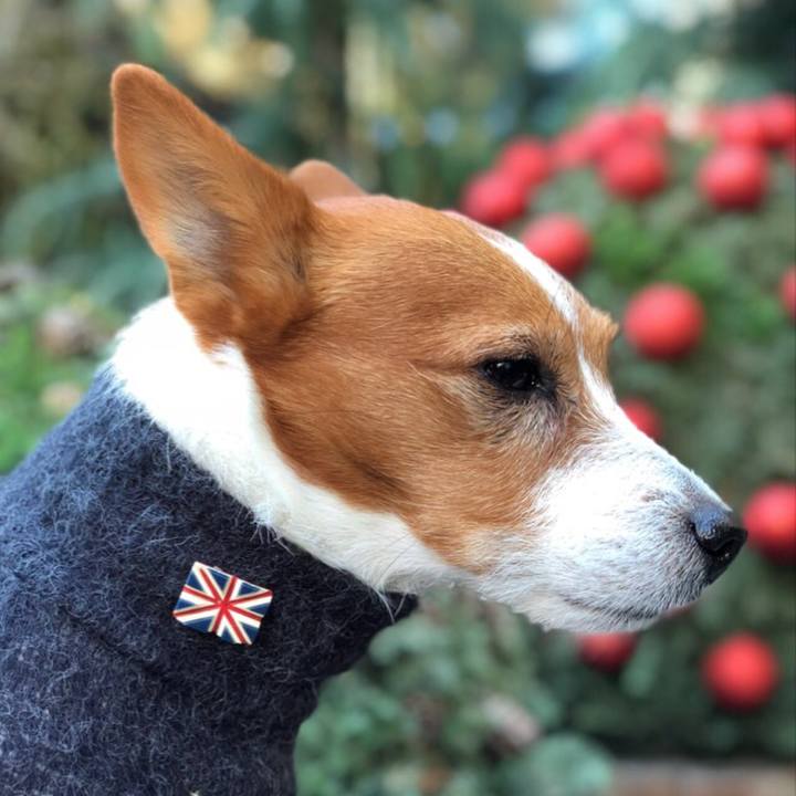 8bb7a11e 1135 406d 98bc fe6248713e8b 1511173223889