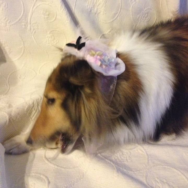 8bb7aa03 4973 4dd3 af82 b94e471240af 1547874536768