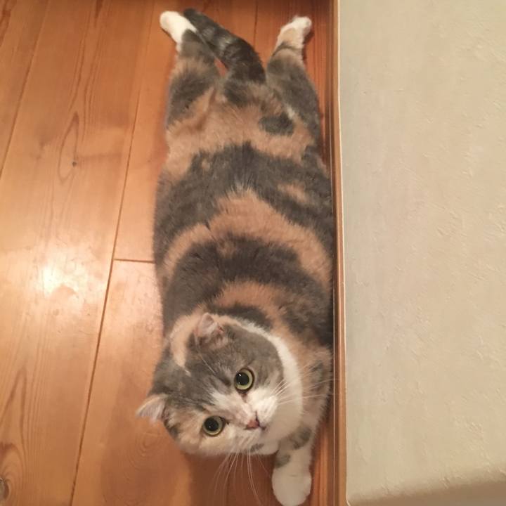 8bb7cf2d 18df 41e0 9af1 5445cdf4ee63 1567508769866