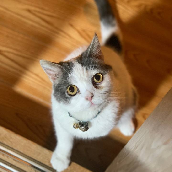 8bb81d86 1288 4962 a678 cf913aa742c5 1655595864683