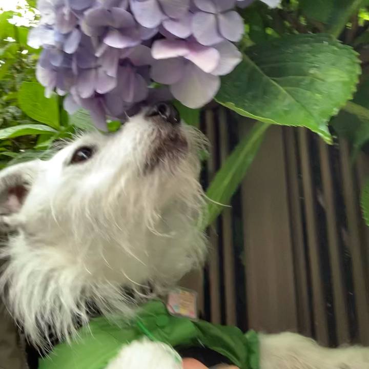 8bb84371 b7e2 4185 b639 d7a8fec42462 1655191422468