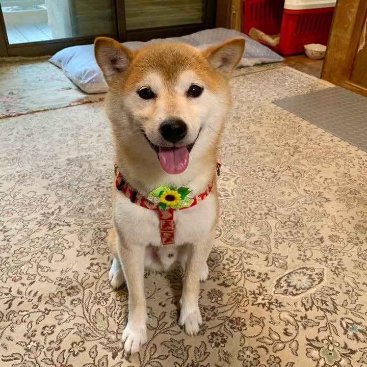 8bb8aa85 1d0b 4d28 9d9a 835bb737fb46 1628928515236