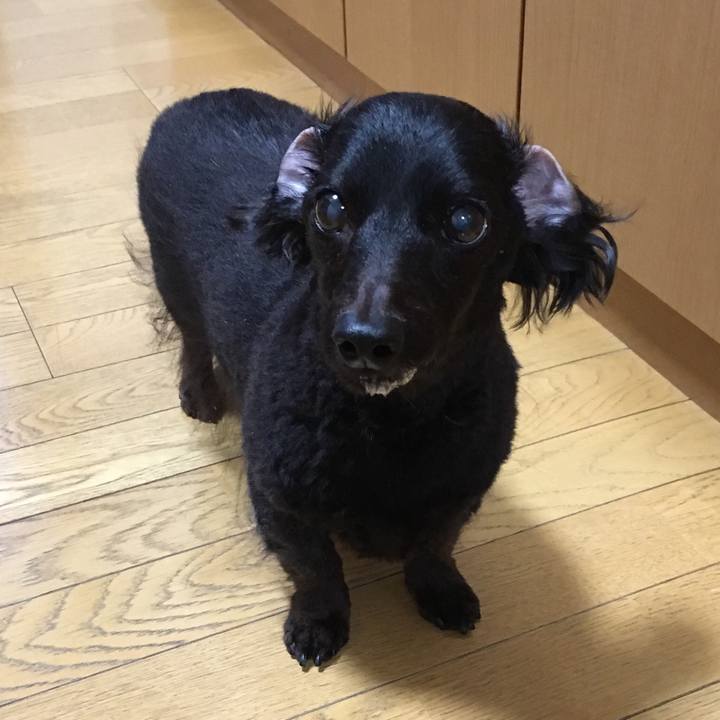 8bb8c57b 9ba1 48bd 98ca 57cb307d023a 1529230940529