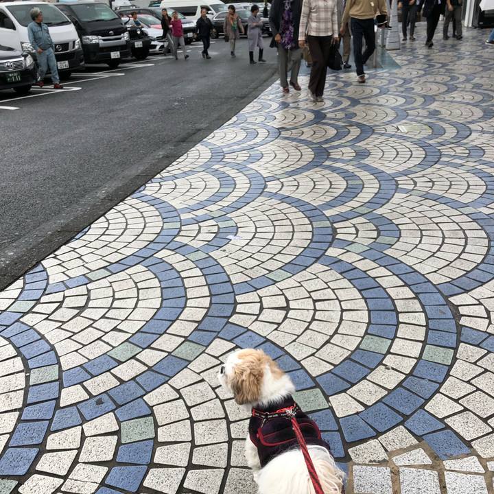 8bb90bde 73c9 4c3d 8712 994b8767de32 1571365742680