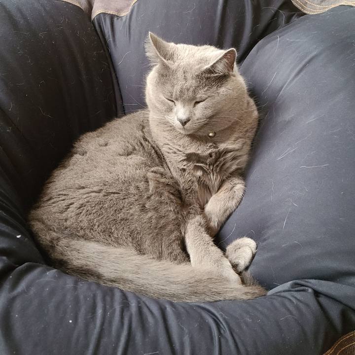 8bb92638 ae12 4f54 9385 270bdb4e8676 1601874173040