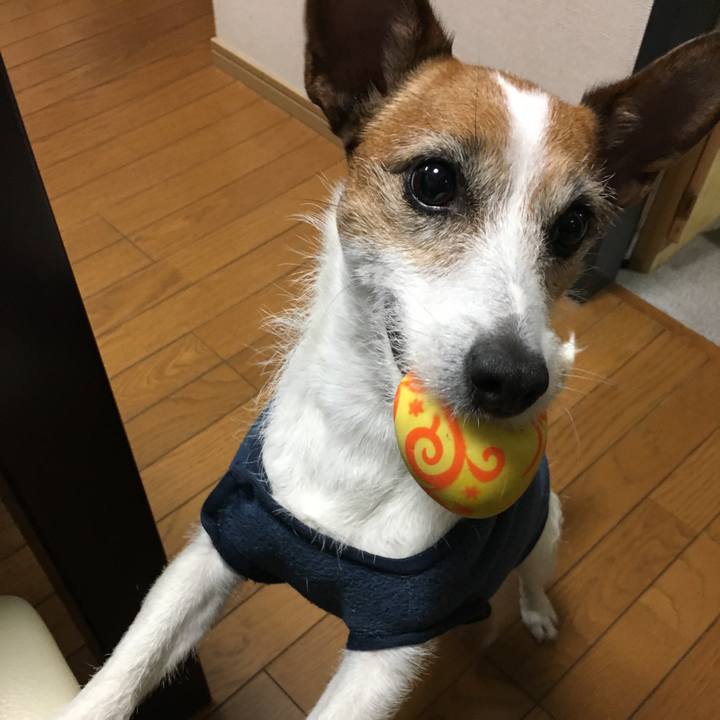 8bb93206 e023 46fc 9bff 715874c614df 1556497596019