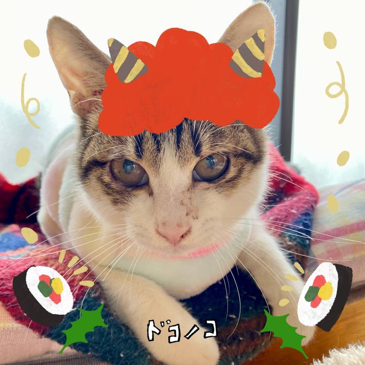 8bb93aa0 ffe7 460b 8dad fe66efa7f643 1706850926911