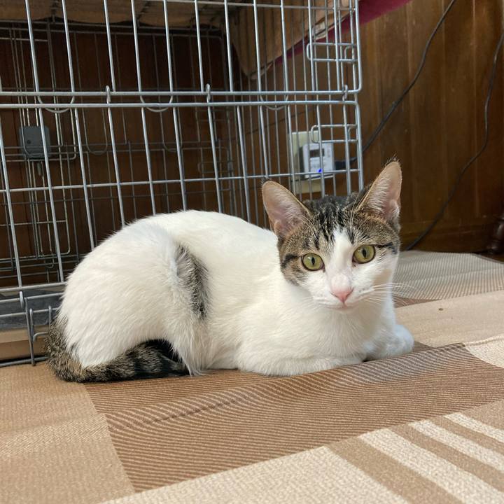 8bb9ce42 d07c 45c1 889a 216267015020 1706192315576