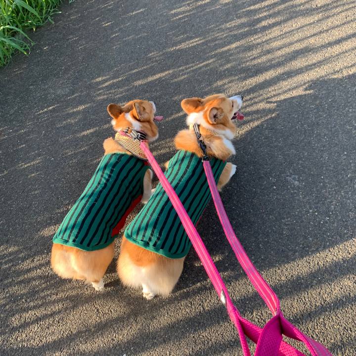 8bb9effc 80d0 48fb abdc 52dab55903d1 1565128092112