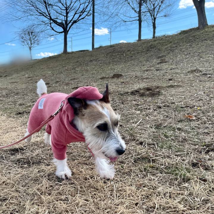 8bba2733 d7a1 4681 80bd d6a4a3b5583c 1645080781189