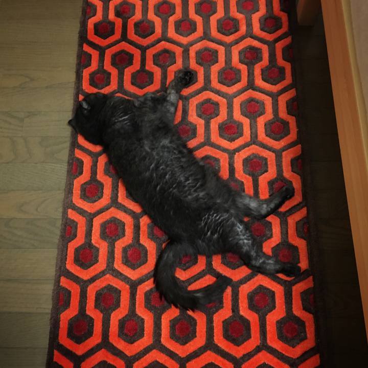 8bba2a55 583f 4c7b 907c 77d773f2bc20 1533092121428