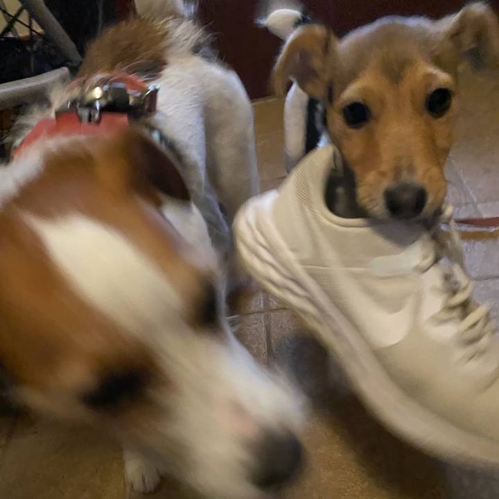 8bba3a0d 0a5a 4d2c 82fc 6fe5d2621da5 1745620654569