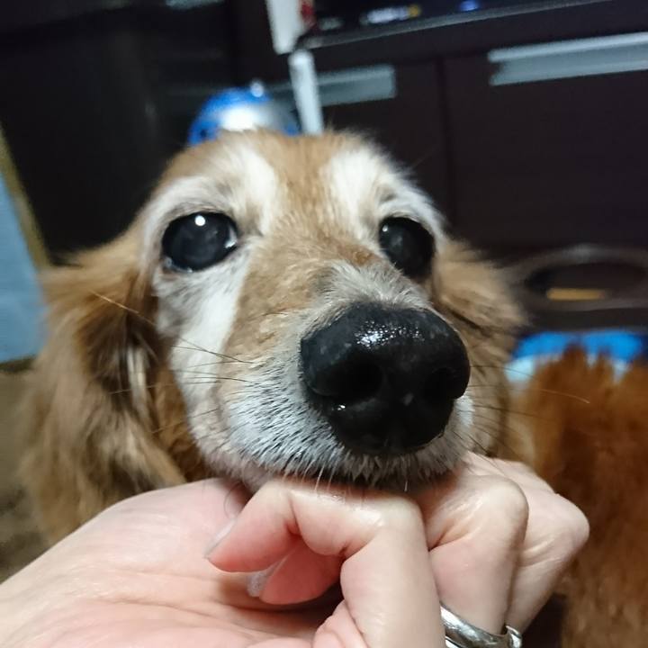 8bba7909 06a4 4d9e a3f3 739e1445ae22 1512123660938