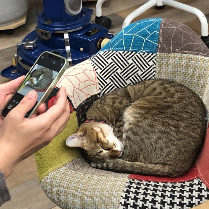 8bbaa93c 99f9 4bbf a234 5a5739cce754 1637555909424