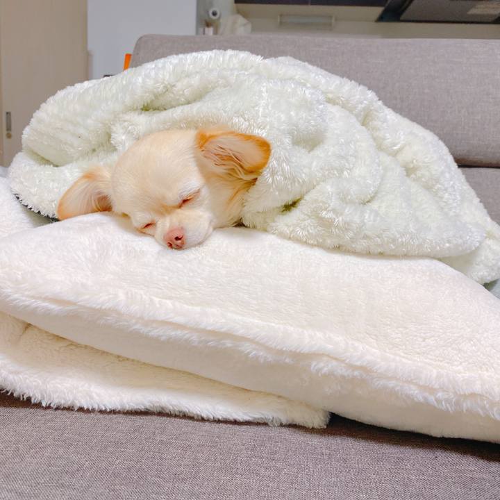 8bbab9ef 3960 4fd0 aea4 3edbb61d30e2 1642755548930