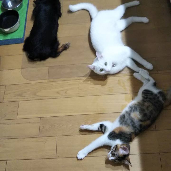 8bbaca91 43e4 4e35 a976 70a1a2dc8c91 1628712500320