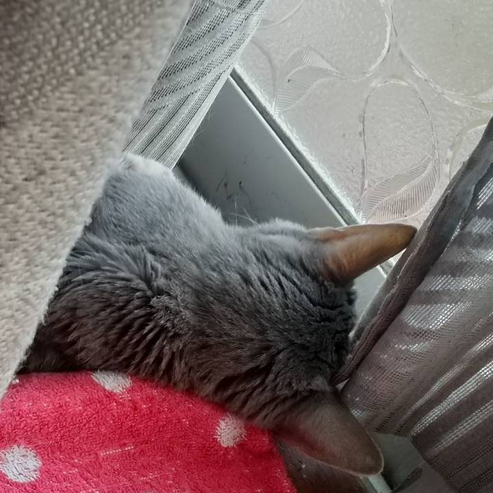 8bbaf359 bce4 442d 884f f675b5b8fc30 1699166866392