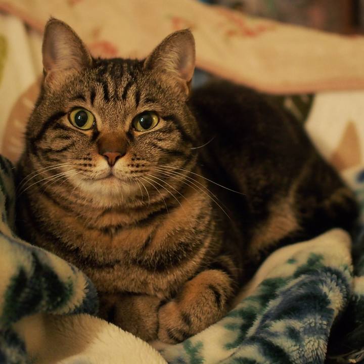 8bbaffb7 798d 4536 bdbb 666260a72a4f 1587991160489