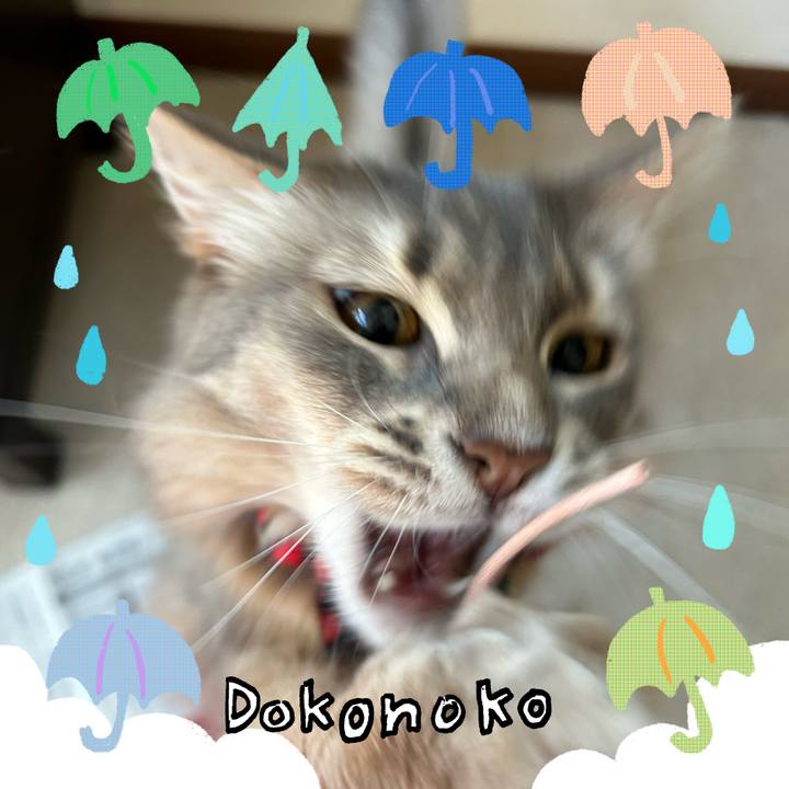 8bbb6d16 cc1a 44db bdbd dfe54e392679 1717594226234