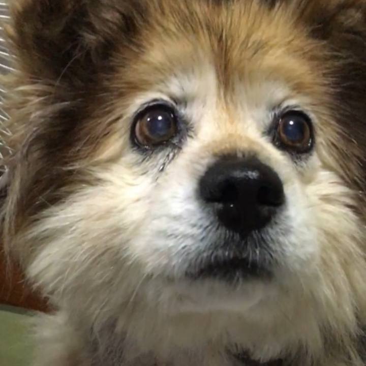 8bbb81af 6b47 461b a43e 61446e69400a 1592828799578