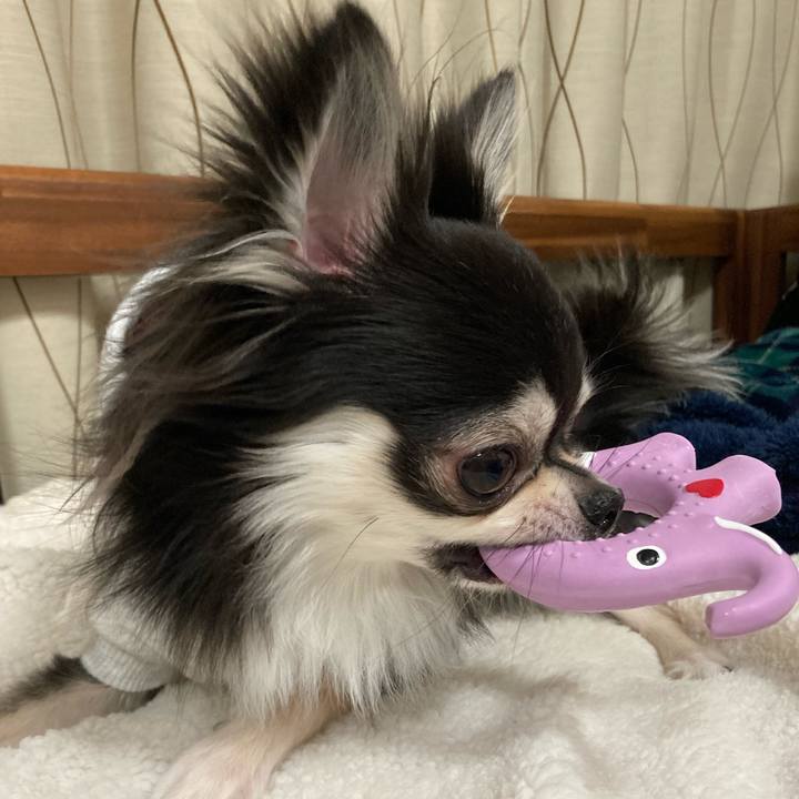 8bbb8895 fcda 4ed1 928e 75b9775c84d8 1645365699074