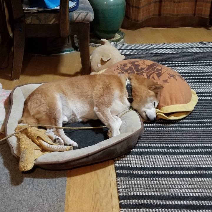 8bbb9535 c373 468f bac2 406b3d349ba4 1665136659698