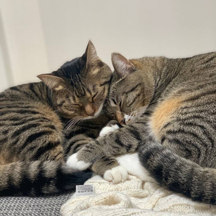 8bbbcf4e 1b57 4cd8 8228 18dd27deb823 1610547185803