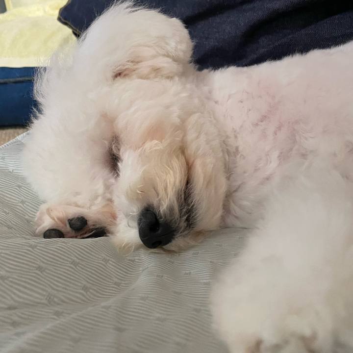 8bbbd370 d0b2 49ec 9e0d 450135b934d3 1755585943626