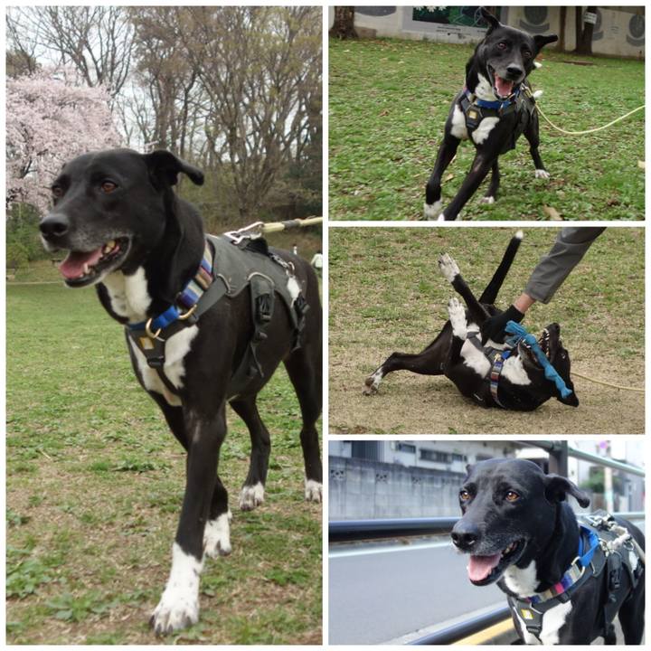 8bbc3ddb 6e25 4ada 8598 b062daf4ce66 1648601083867