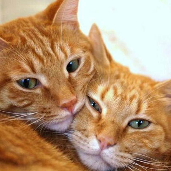 8bbc4ece eaa2 4a33 b201 d8477176dbf7 1512710830033