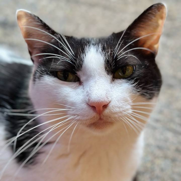 8bbc53f9 2622 4200 b9ad 8f529b53ed5b 1726533944784