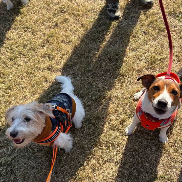 8bbc729d 9649 497c 9fda adc1a77c2464 1763279062869