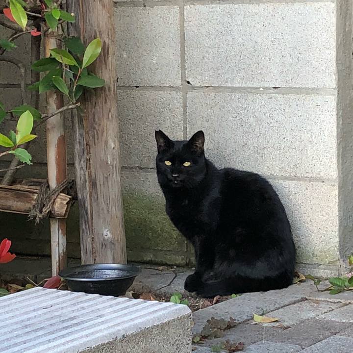 8bbc742e 4c3c 4198 8275 cbc6761ea87f 1540993519505