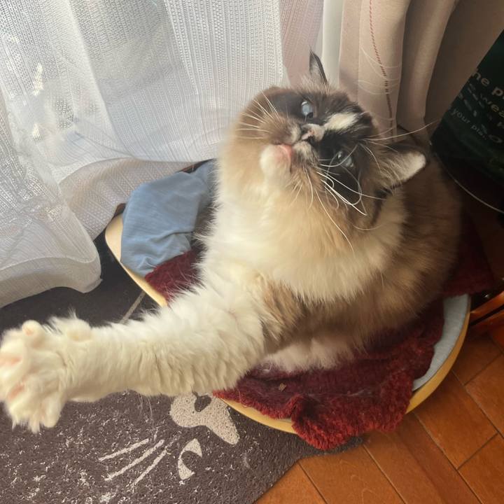 8bbc9ce7 8031 4b25 860b 2677778989b3 1709071542943