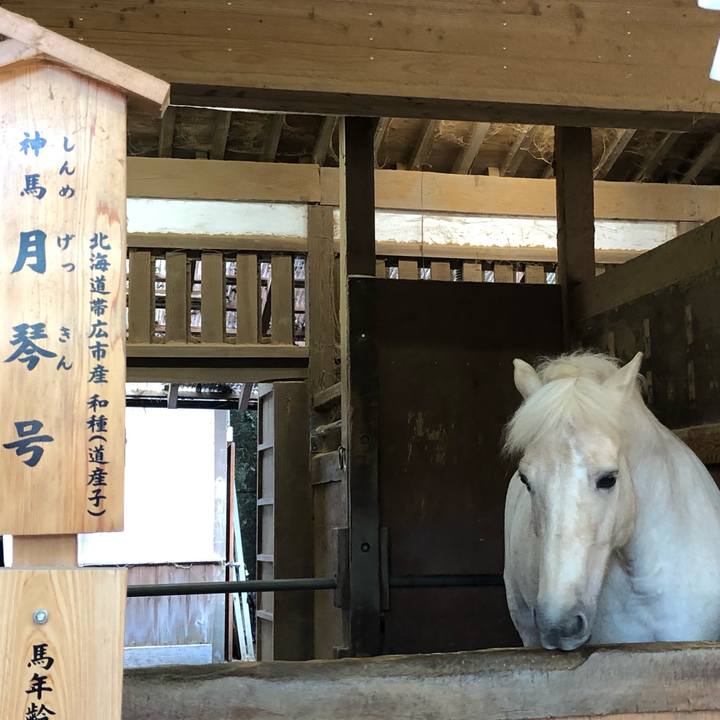 8bbcae20 dcb5 40b1 bab8 b54ba0fbaa82 1570280823994