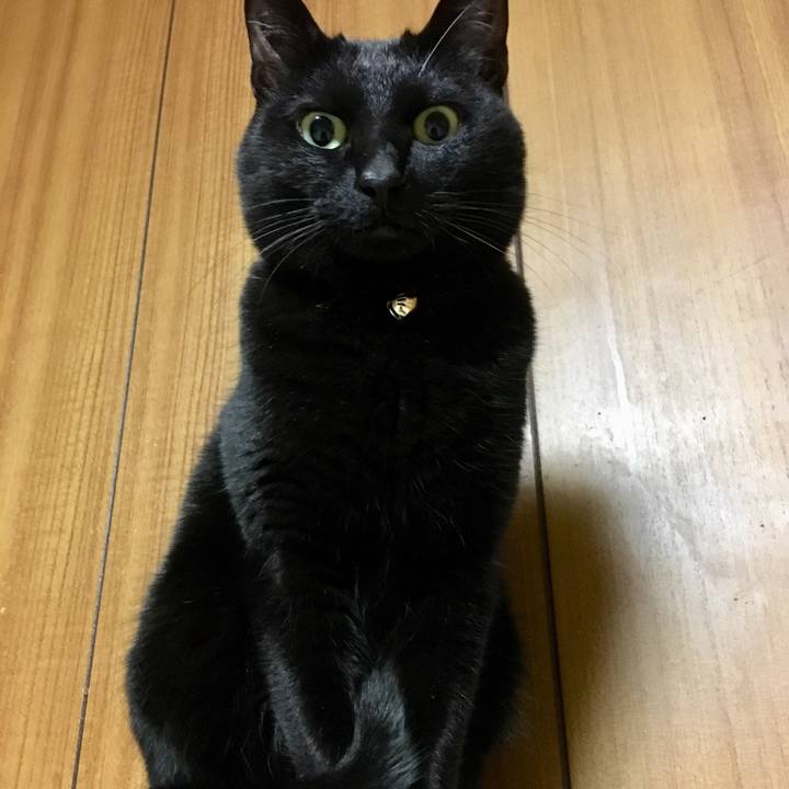 8bbcb5a1 bda8 4225 9438 ab647562bde3 1517761932148