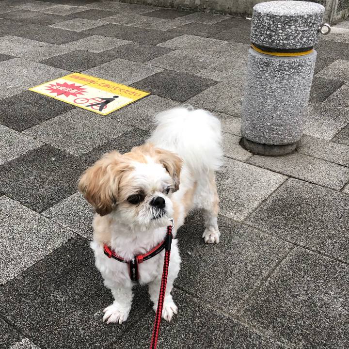 8bbcc09c 5268 4345 9001 27ef5e82e496 1600638211912