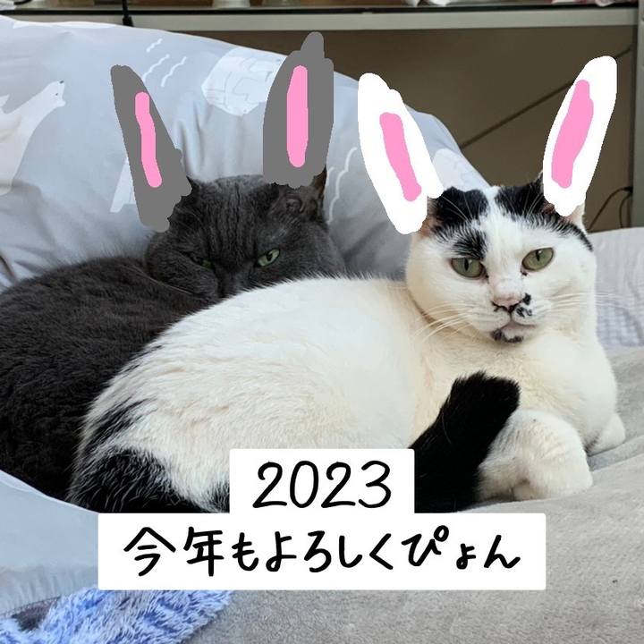 8bbcce5c d034 48e9 b328 7c33dbfbb74d 1672504505294