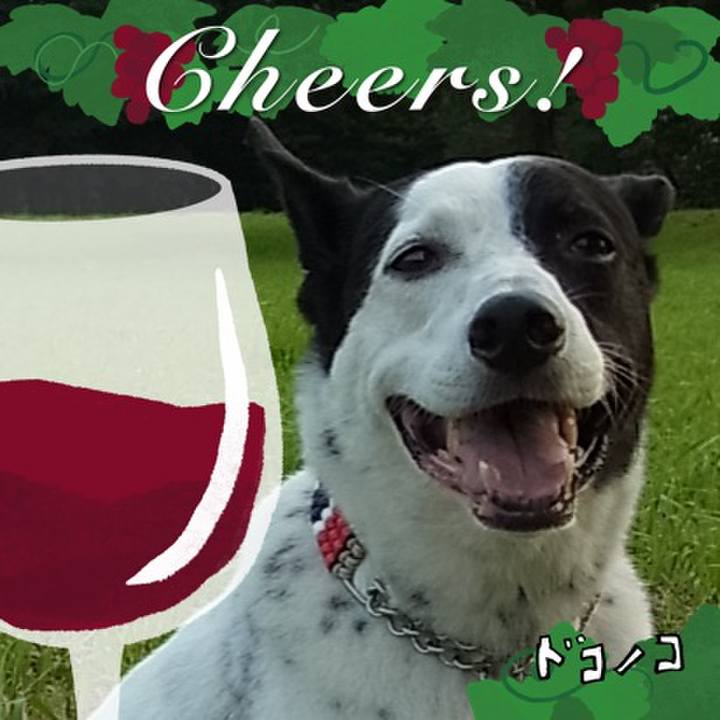 8bbcd105 346a 469c 96a6 f40f42fc4db6 1761563463817