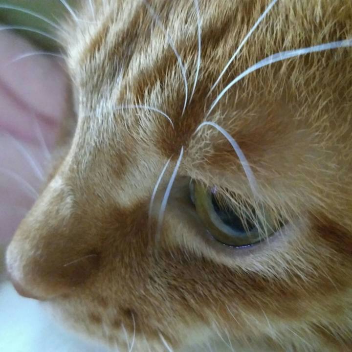 8bbcd4ca fd3f 4707 8a4d 1ebe68102da5 1561207351018