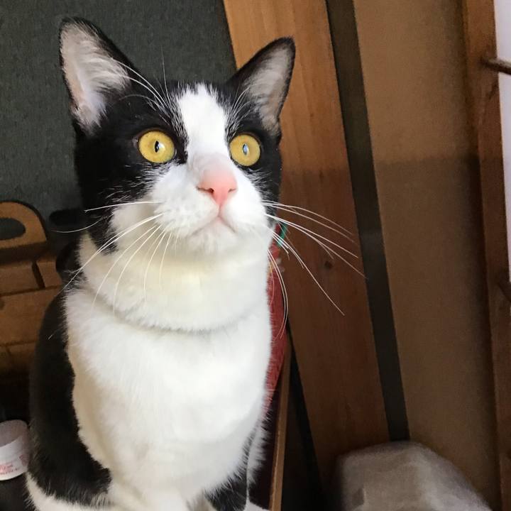 8bbd2974 d6ed 4e32 b736 af6a905b8e03 1644139097027